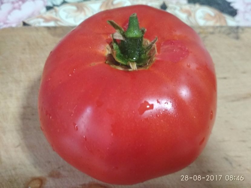 HARMONIA (6) - HARMONIA