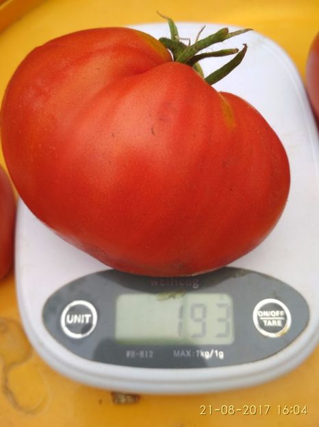 I B ROȘIE TIMIȘOARA (4) - INIMĂ DE BOU ROȘIE DE TIMIȘOARA