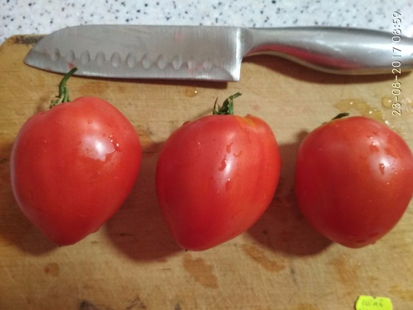 I B ROȘIE TIMIȘOARA (11) - INIMĂ DE BOU ROȘIE DE TIMIȘOARA