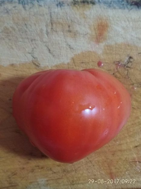 I B ROȘIE TIMIȘOARA (19) - INIMĂ DE BOU ROȘIE DE TIMIȘOARA