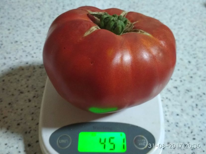 IBB (1) - INIMA BOULUI DE BĂLENI 2017