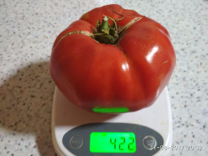 IBB (17) - INIMA BOULUI DE BĂLENI 2017