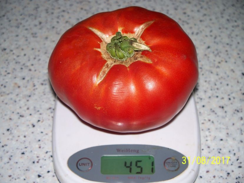 IBB (43) - INIMA BOULUI DE BĂLENI 2017