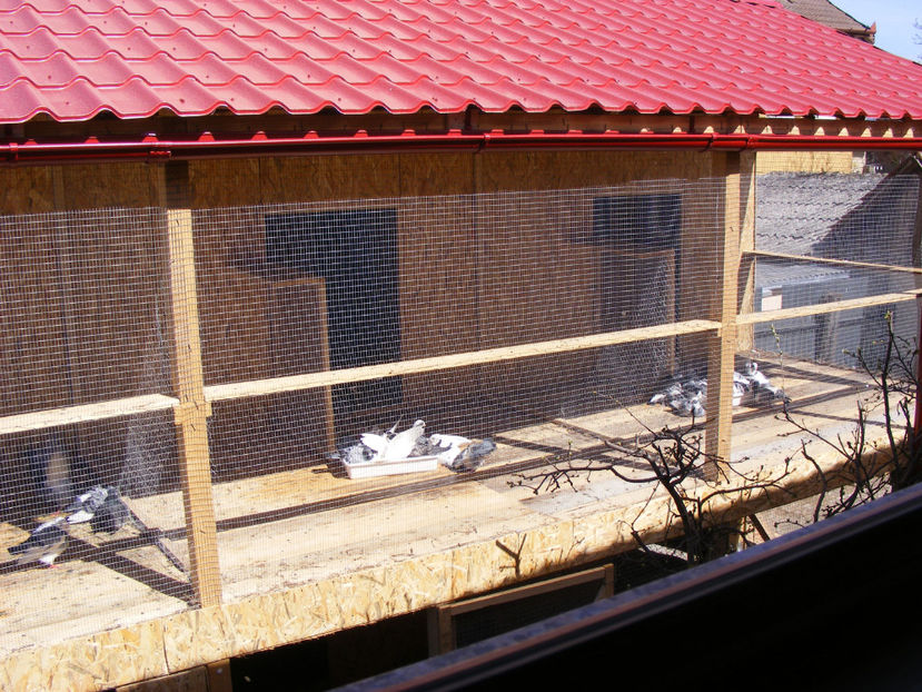 nou 006 - LOCUL UNDE MA RELAXEZ ZILNIC