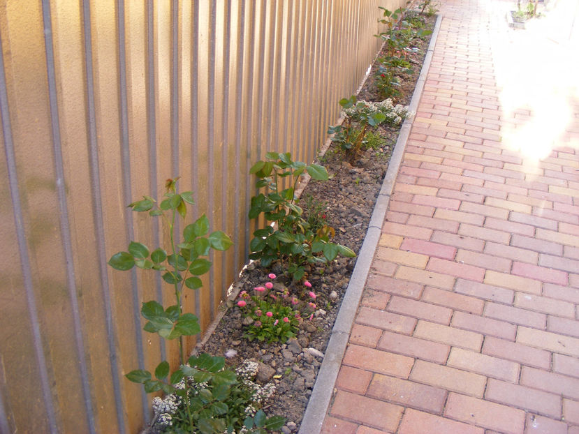 nou 053 - LOCUL UNDE MA RELAXEZ ZILNIC