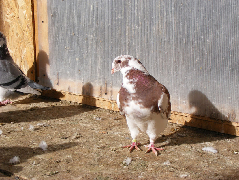 nou 094 - LOCUL UNDE MA RELAXEZ ZILNIC