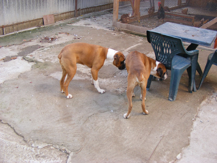 nou 127 - LOCUL UNDE MA RELAXEZ ZILNIC