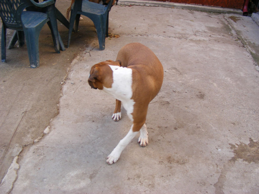 nou 128 - LOCUL UNDE MA RELAXEZ ZILNIC