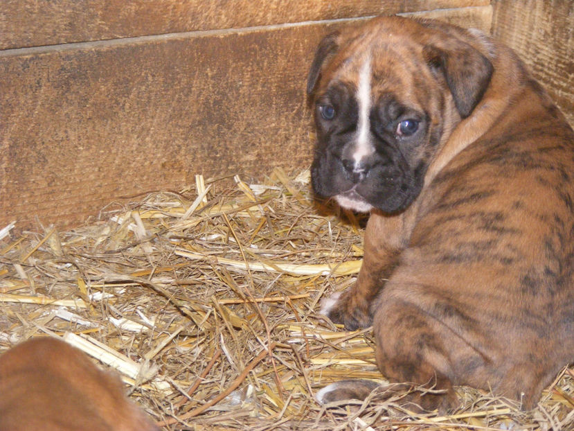 nou 214 - LOCUL UNDE MA RELAXEZ ZILNIC