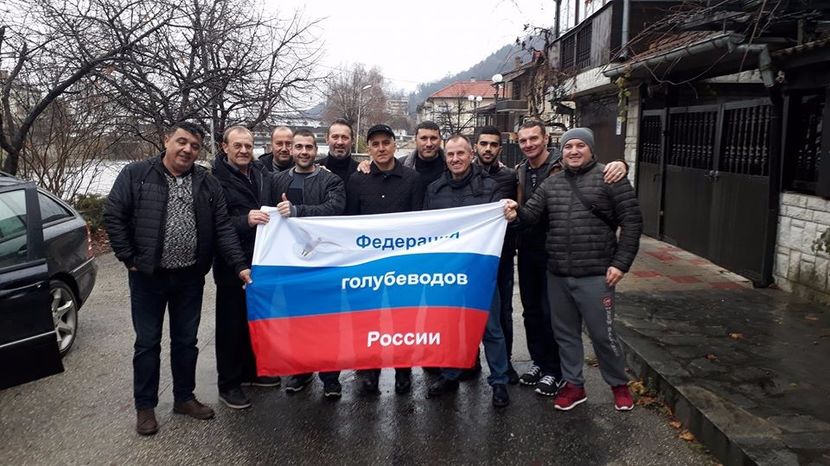  - 2--PORUMBARI PASARARI PRIETENI
