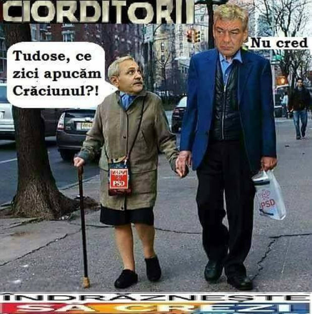  - Poze haioase pamflet