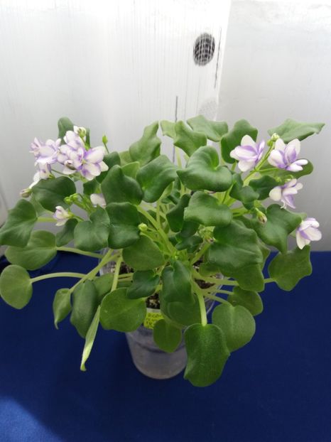 7 dec - Rob s Humpty Doo