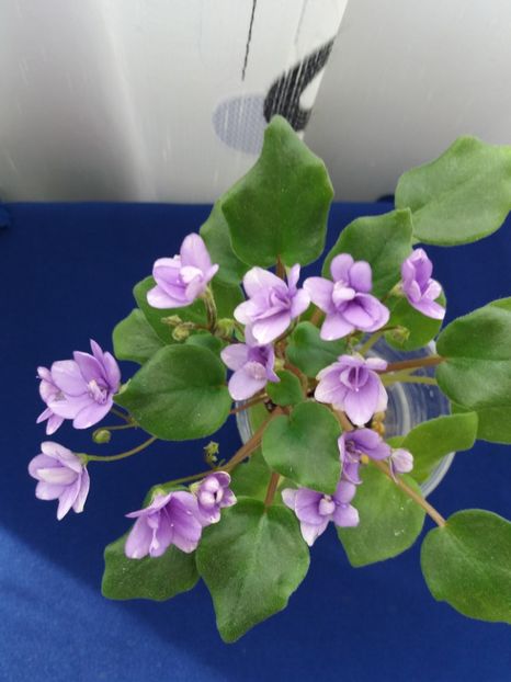 7 dec - Rob s Humpty Doo Sport