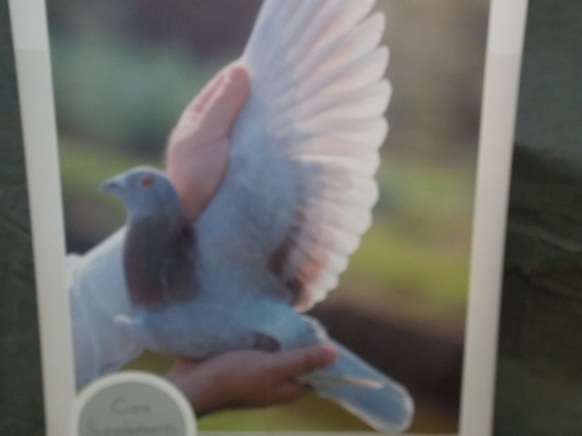  - EXPO-2017 NATIONALA BAICOI