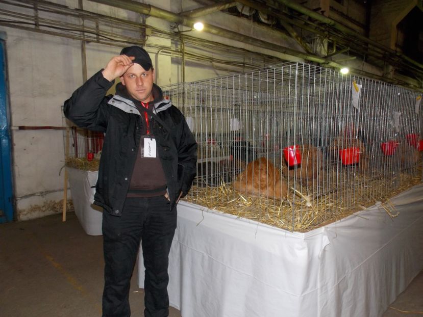  - EXPO-2017 NATIONALA BAICOI