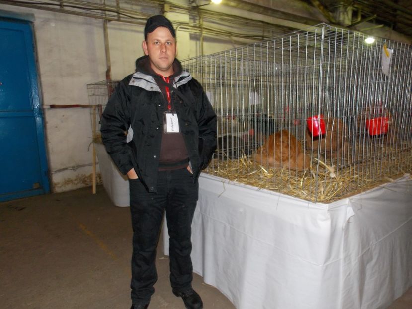  - EXPO-2017 NATIONALA BAICOI