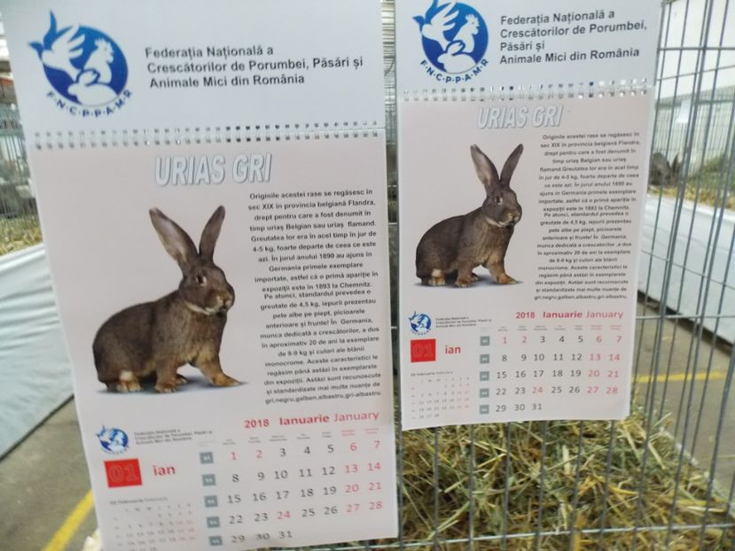  - EXPO-2017 NATIONALA BAICOI