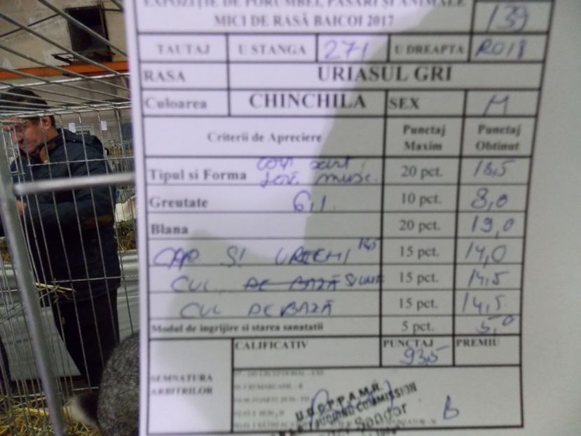  - EXPO-2017 NATIONALA BAICOI