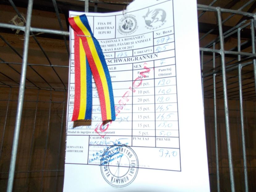  - EXPO-2017 NATIONALA BAICOI