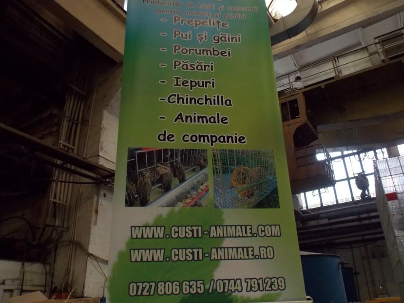  - EXPO-2017 NATIONALA BAICOI