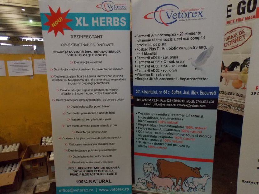  - EXPO-2017 NATIONALA BAICOI