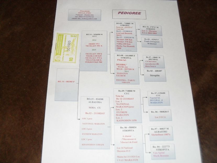  - VOIAJORI SPORT DE VANZARE