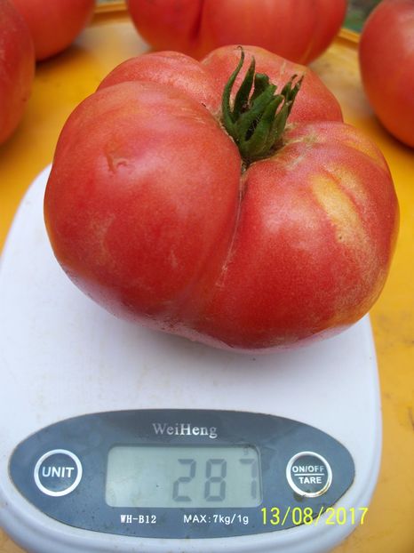 MARI DE CALAFAT DIX (3) - MARI DE CALAFAT