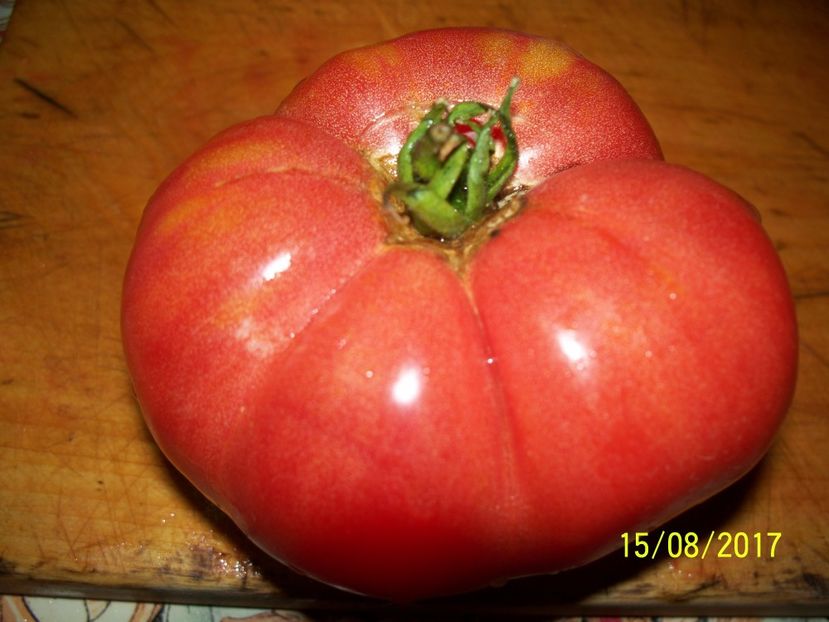 MARI DE CALAFAT DIX (13) - MARI DE CALAFAT