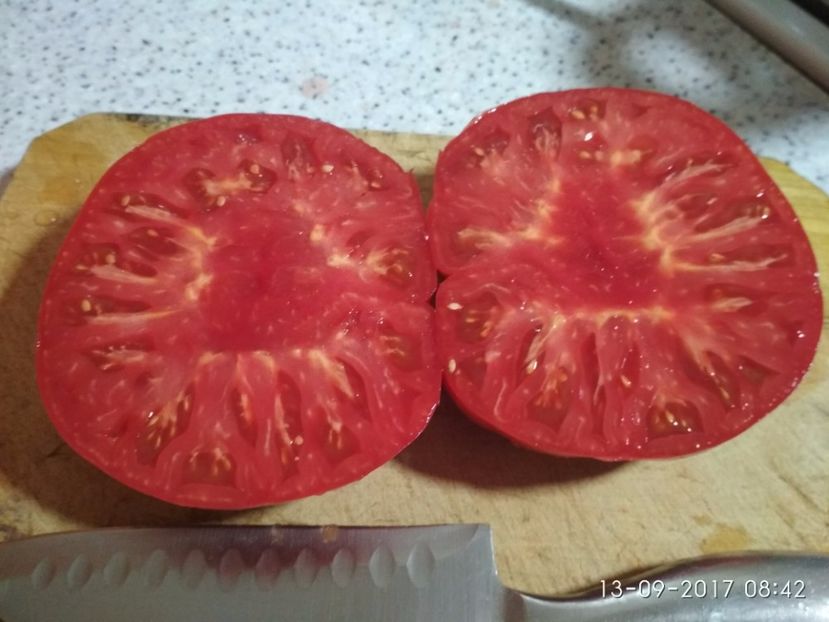 MARI DE CALAFAT DIX (51) - MARI DE CALAFAT