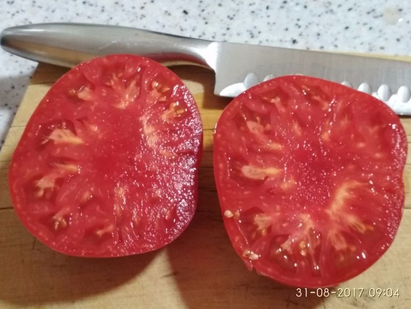 MARI DE CALAFAT DIX (61) - MARI DE CALAFAT