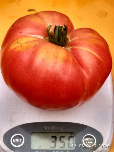 MARI DE CALAFAT DIX (67) - MARI DE CALAFAT