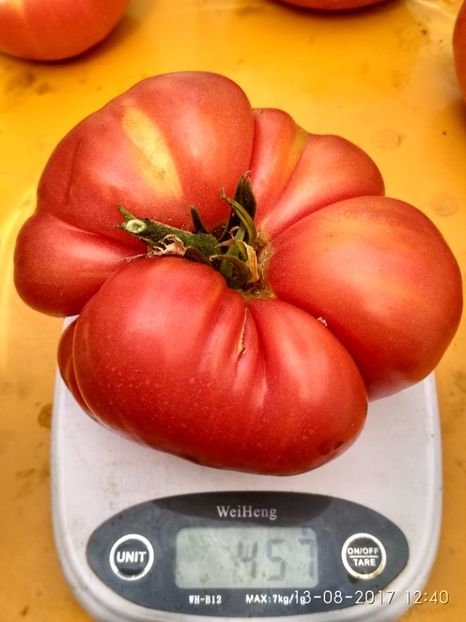 MARI DE CALAFAT DIX (86) - MARI DE CALAFAT