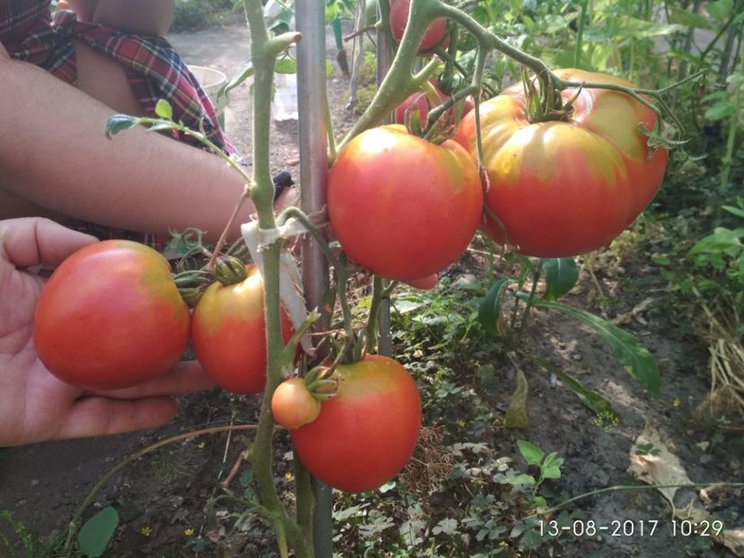 RUSSIAN HERO (2) - RUSSIAN HERO