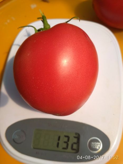 KOSOVO HEART (4) - KOSOVO HEART GIANT