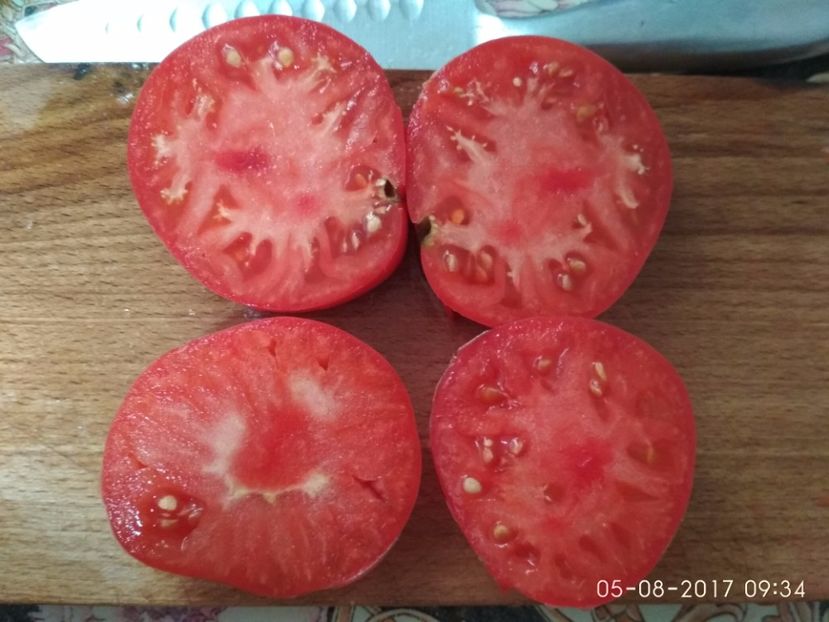 KOSOVO HEART (7) - KOSOVO HEART GIANT