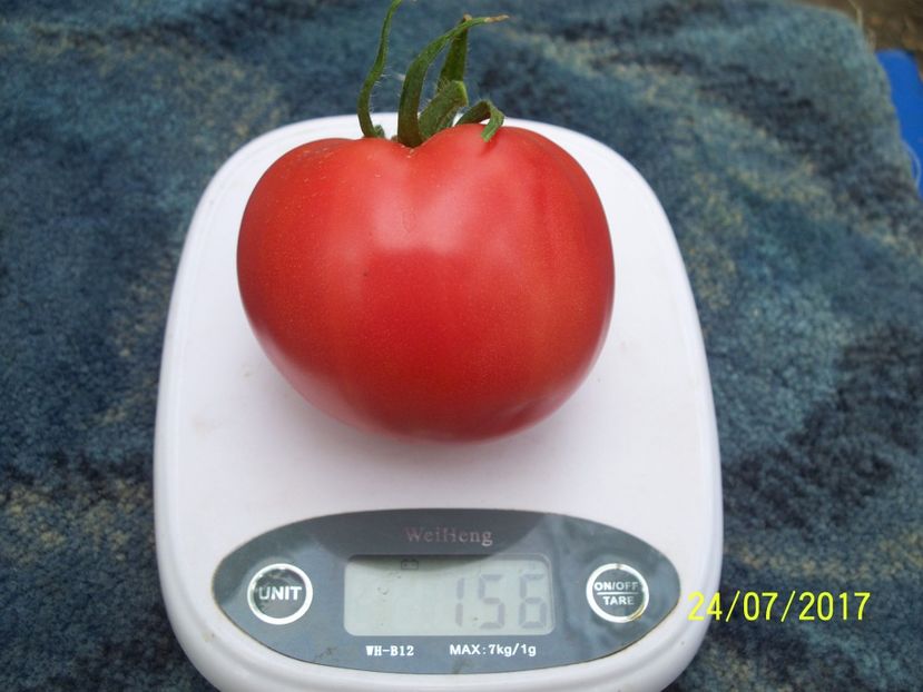 KOSOVO HEART BP (4) - KOSOVO HEART GIANT