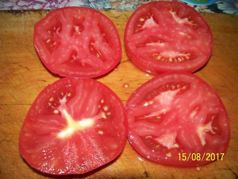 KOSOVO213 (2) - KOSOVO HEART GIANT