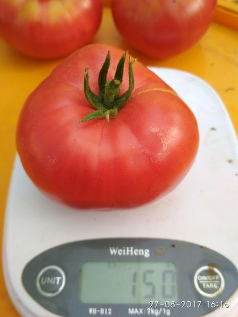 MORTGAGE LIFTER  (16) - MORTGAGE LIFTER