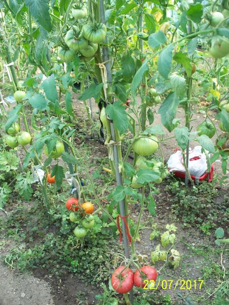 MORTGAGE LIFTER  (30) - MORTGAGE LIFTER