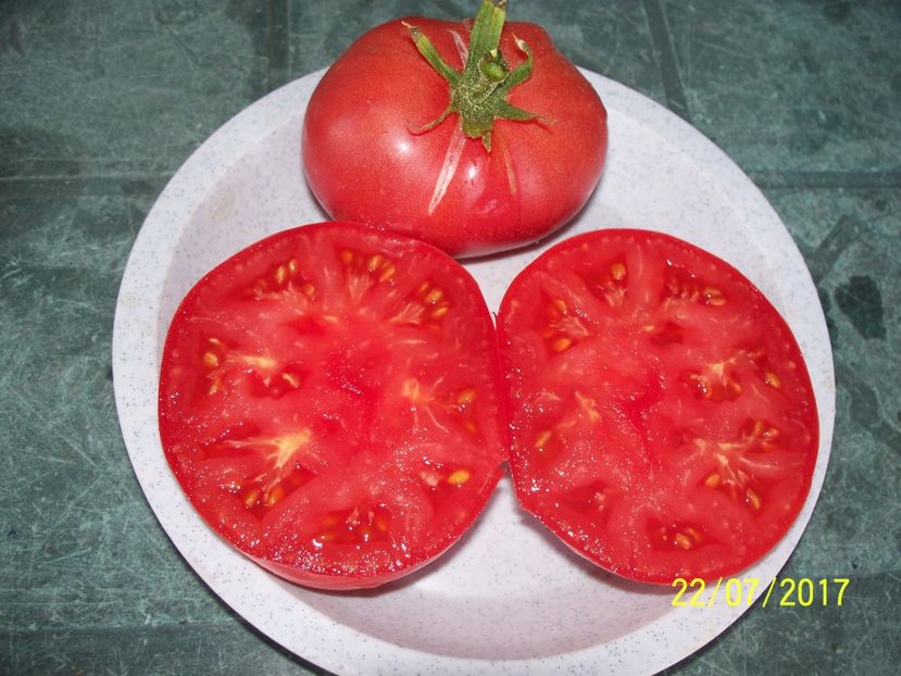 MORTGAGE LIFTER  (33) - MORTGAGE LIFTER