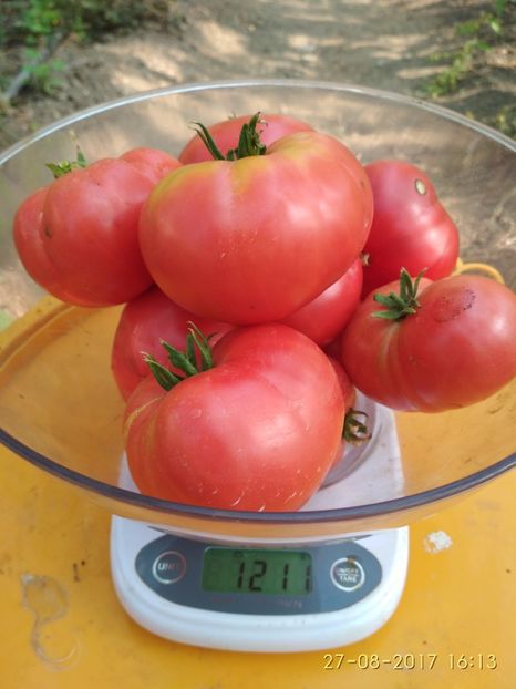 MORTGAGE LIFTER  DE LA UN FIR (2) - MORTGAGE LIFTER