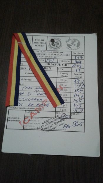  - M 4-produs propriu-RO 8-171 CAMPION NATIONAL BAICOI 2017