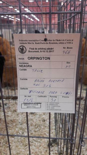  - Expozitia nationala 2017