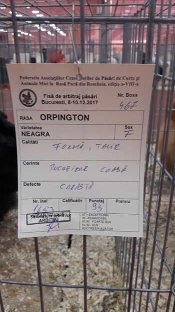  - Expozitia nationala 2017