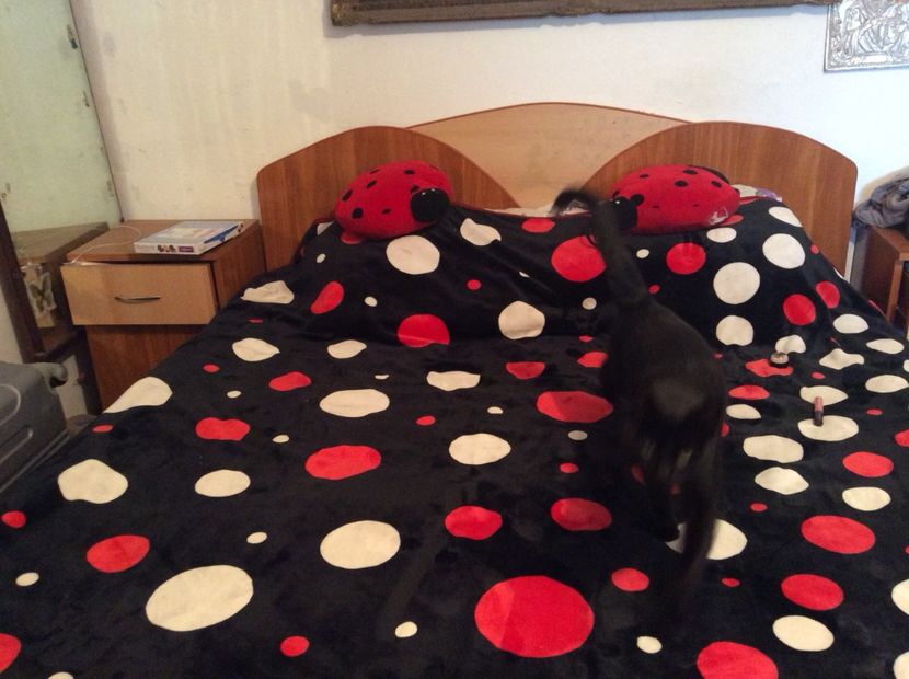 06743C05-89F9-4652-9F4D-849694319809 - Eu cu familia