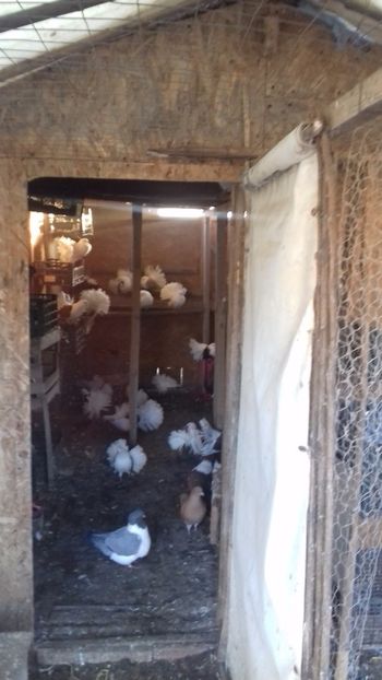  - DE VÂNZARE DEC 2017