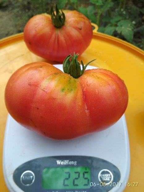 OMARS LEBANESE (18) - OMARS LEBANESE