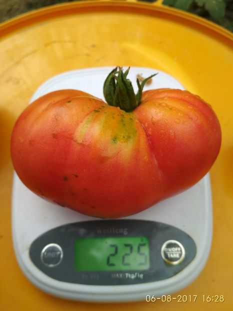 OMARS LEBANESE (19) - OMARS LEBANESE