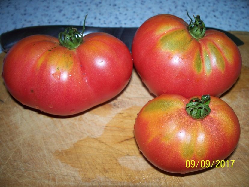 OMARS LEBANESE (24) - OMARS LEBANESE