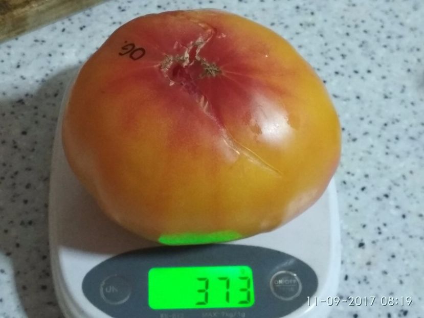 OLD GERMAN (6) - OLD GERMAN